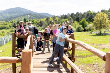 PIVKA DRŽAVNO TEKMOVANJE MLADIH ČEBELARJEV 11.5.2024 - Valter Leban-0548 (Small)